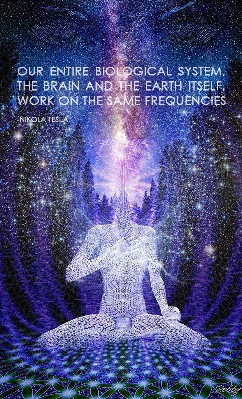 teslafrequencyquotefloweroflifeforest