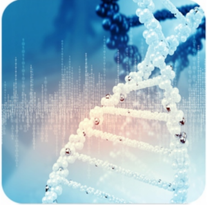 Bioenergetic Testing
