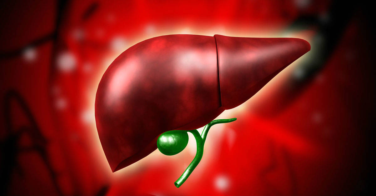 How to Love your Liver