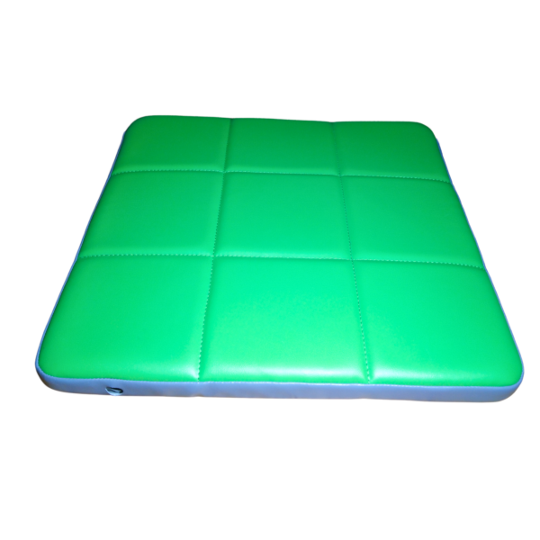 ENSO Induction Mat for Sweeper
