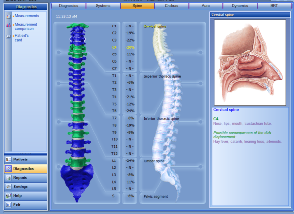 Bioenergetic Testing - Image 6
